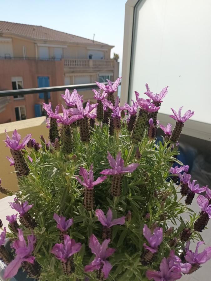 Attico Victoria Palace Suggestivo E Spettacolare Menton Buitenkant foto